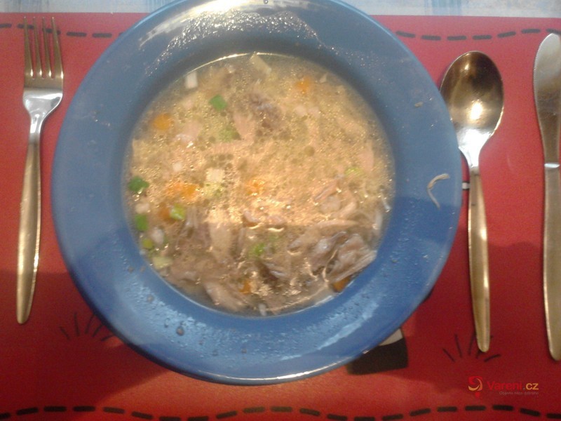 Kuřecí vývar s domácími nudlemi - fotografie 2