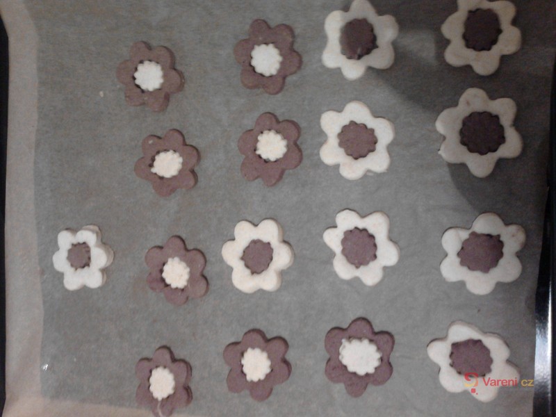 Dvoubarevné hvězdičky - fotografie 4