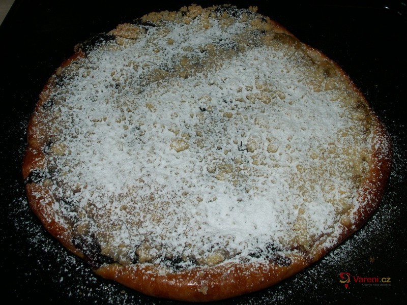 Kynutý borůvkový koláč - fotografie 2