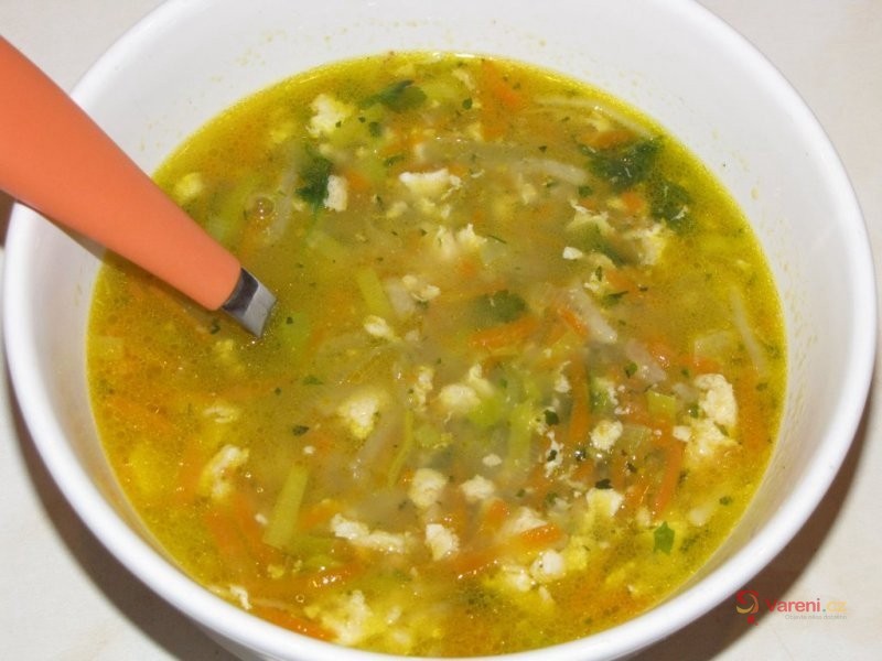 Zeleninová polévka s jíškou