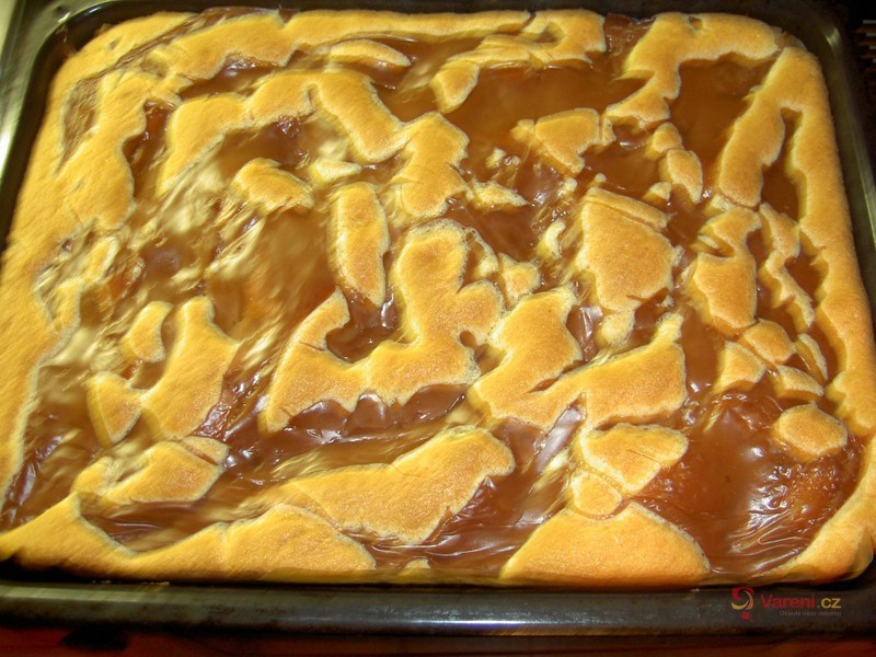 Havlův řez - fotografie 3