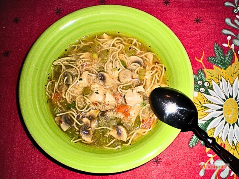 Čínská kuřecí polévka se zeleninou a nudlemi