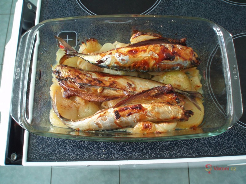 Makrely pečené na cibuli - fotografie 3