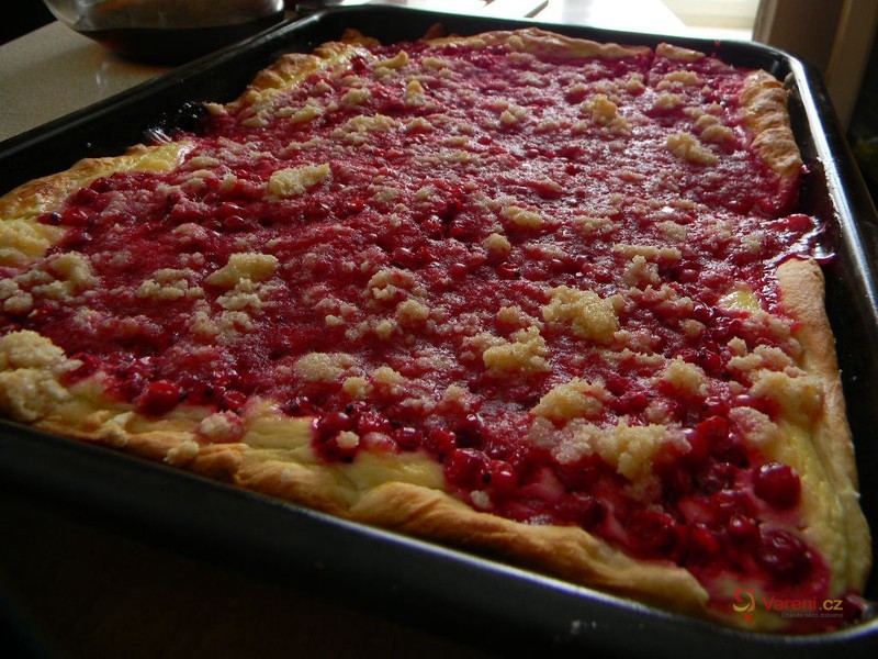 Rybízový kynutý koláč s drobenkou - fotografie 2