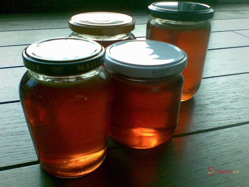 Pampeliškový med - fotografie 3