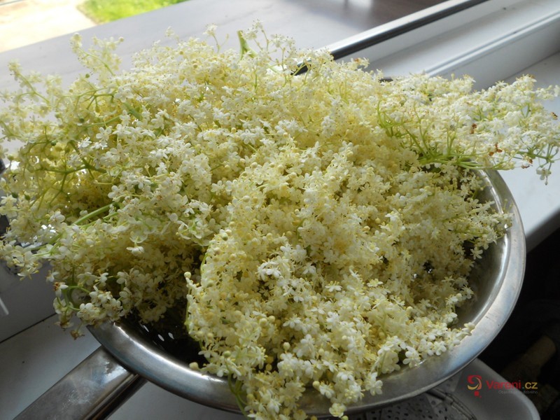 Med z květů černého bezu - fotografie 2