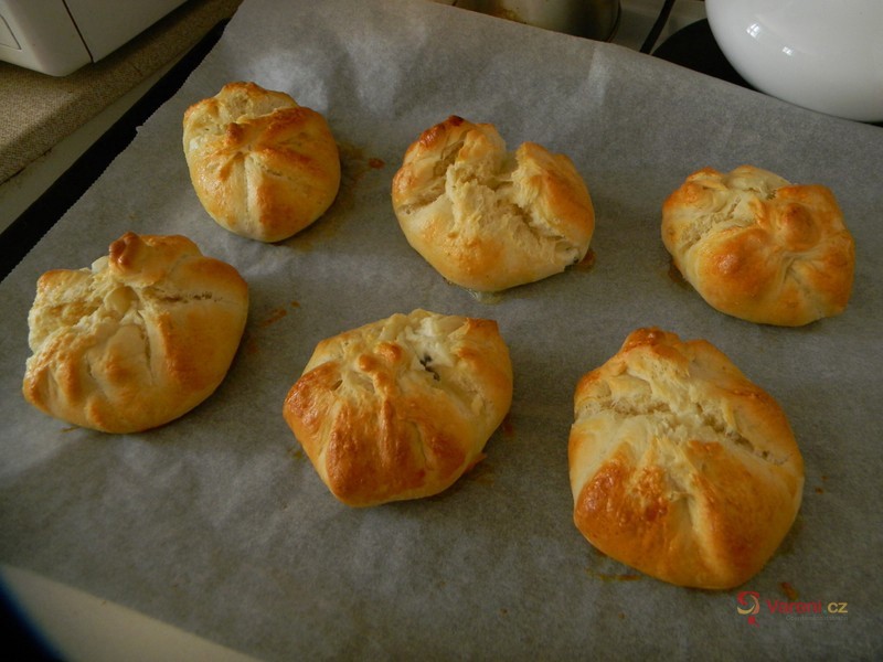 Velikonoční mrkvance - fotografie 2