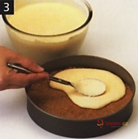 Rychlý meruňkový dort - fotografie 4