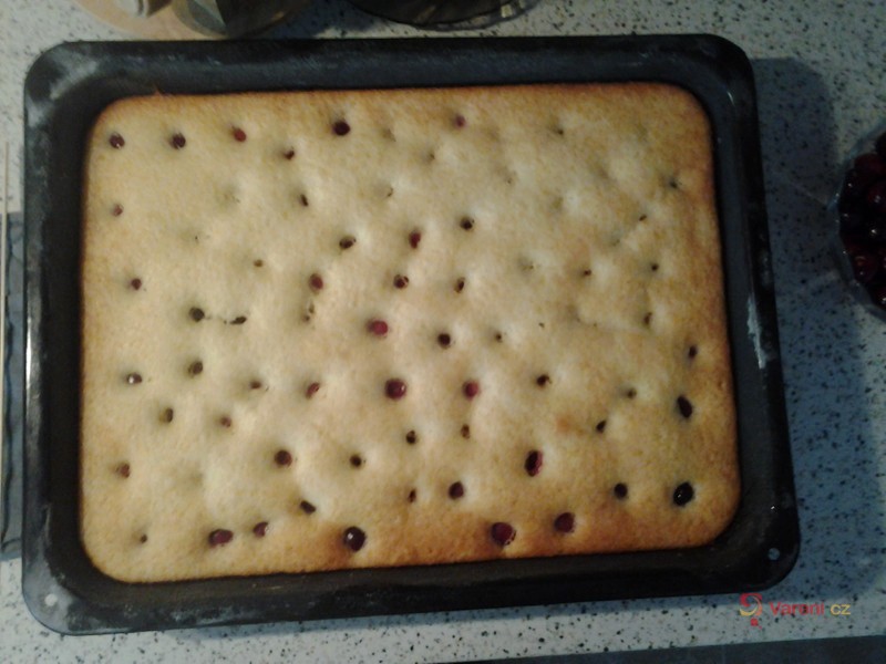 Piškotové univerzální těsto - fotografie 3