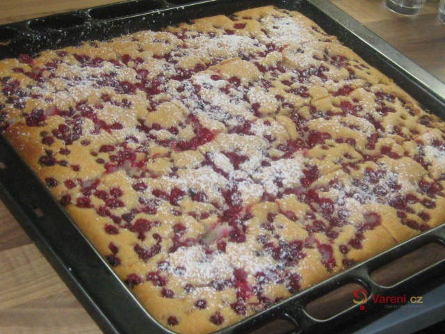 Univerzální piškotové těsto - fotografie 3