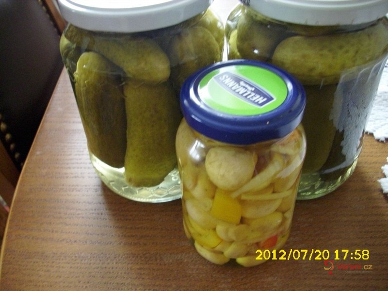 Lák na okurky, houby, zeleninu - fotografie 3