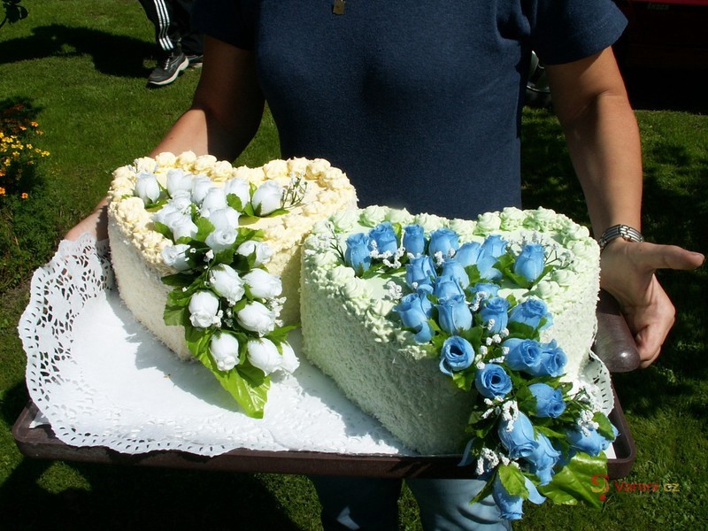 Slavnostní dort - fotografie 3