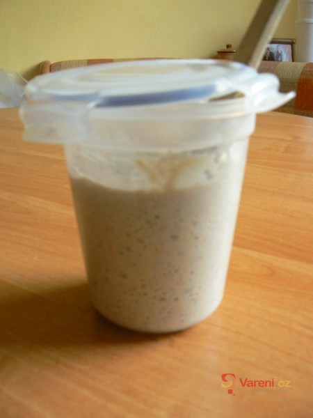 Kvásek z žitné mouky - fotografie 2