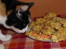 Rychlé ovesné sušenky - fotografie 2