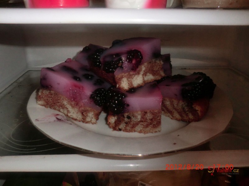 Ostružinový sen - fotografie 2