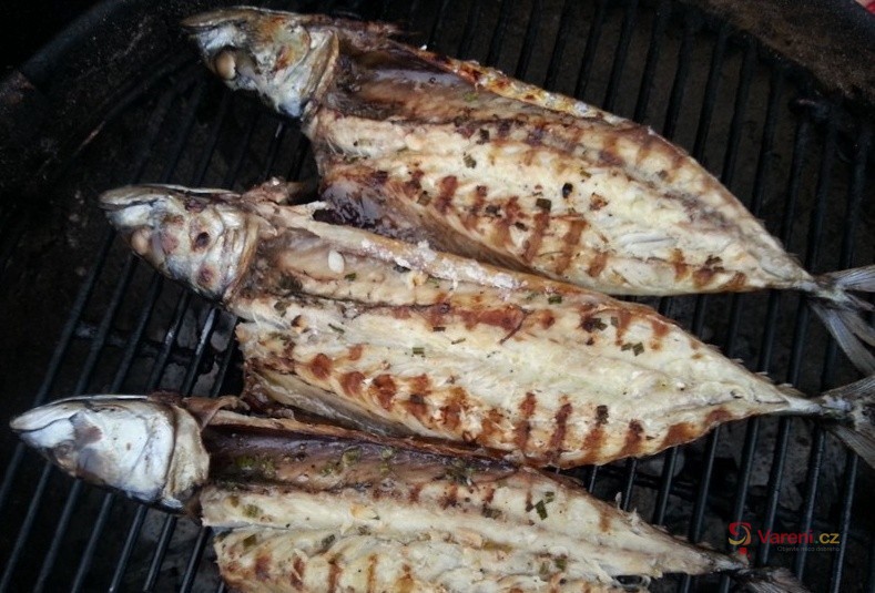 Grilované marinované makrely