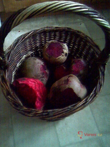 Mléčně kvašená červená řepa - fotografie 5