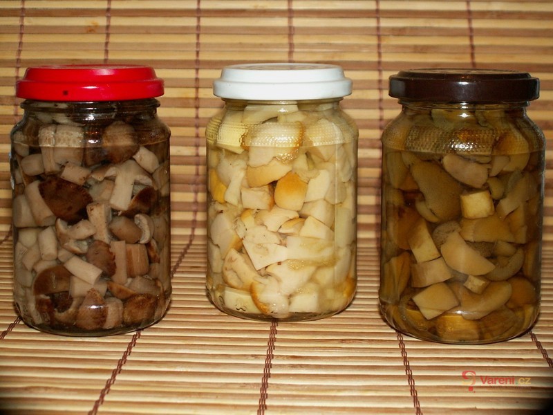 Houby v octu - fotografie 2