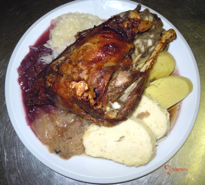 Husokrálík s jablky - fotografie 3