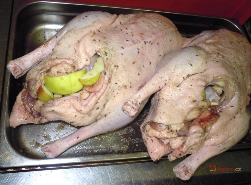 Husokrálík s jablky - fotografie 2