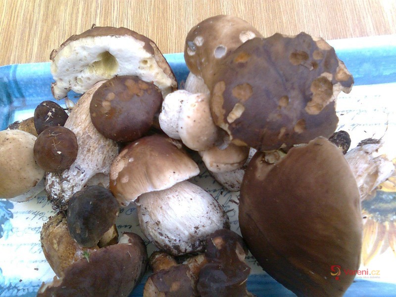 Houby po orientálsku - fotografie 2
