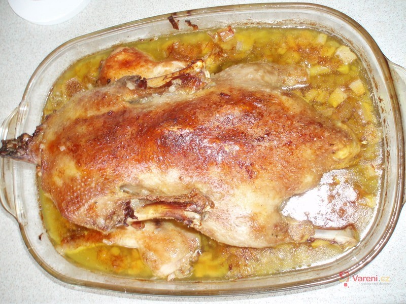 Kachna pčená na divoko - fotografie 3