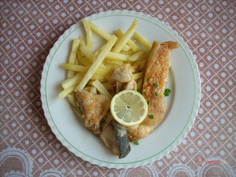 Vokův kapr - fotografie 2