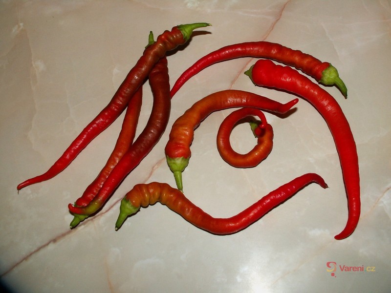 Sterilované kozí rohy - fotografie 2