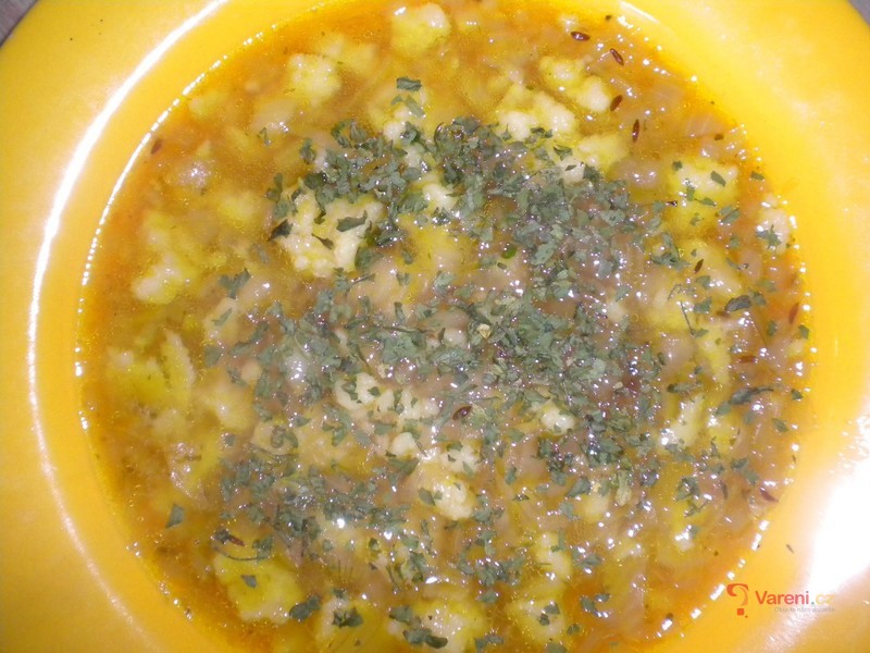 Hanácká cibulačka s nočky - fotografie 3