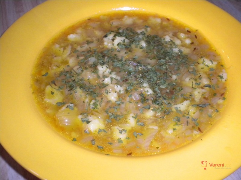 Hanácká cibulačka s nočky - fotografie 2