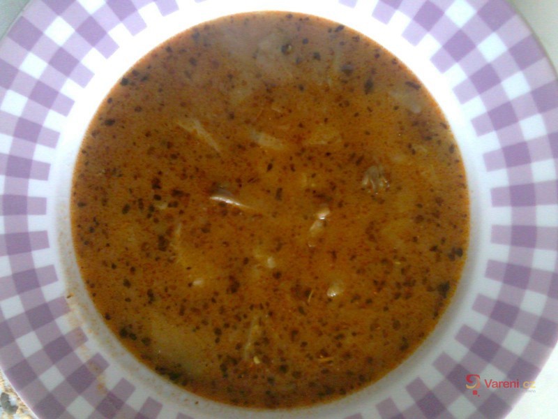 "Dršťková" polévka z hlívy - fotografie 2