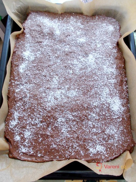 Perník s čokoládovou polevou a kokosem - fotografie 2