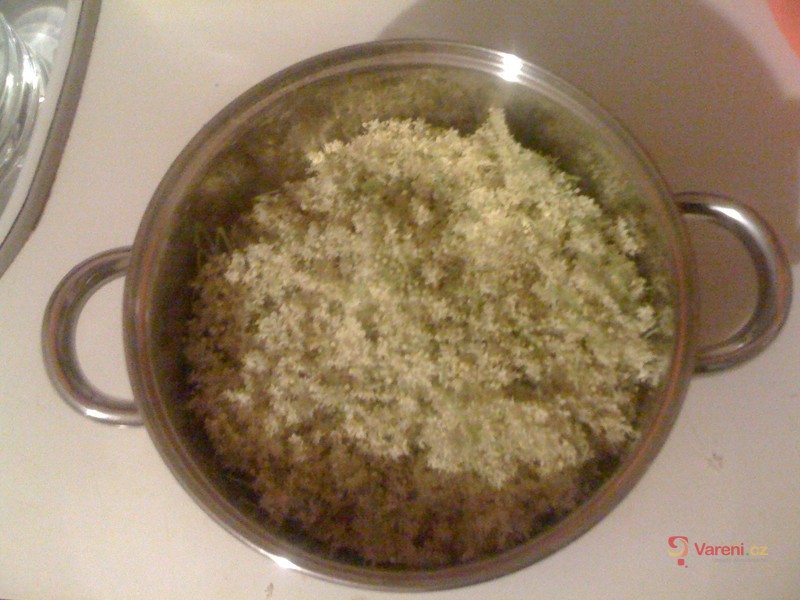 Sirup z bezinkových květů - fotografie 2