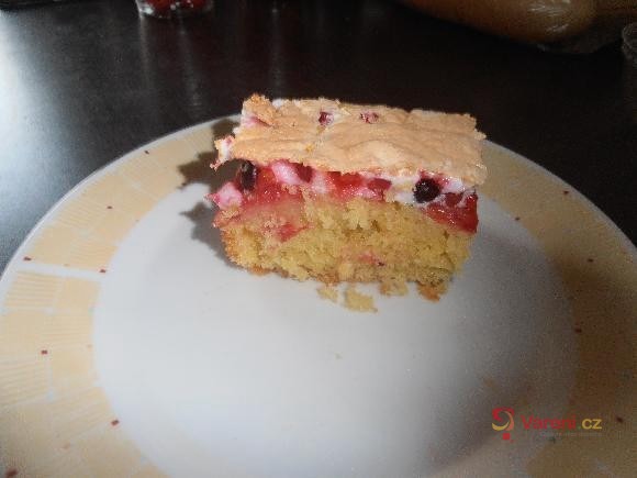 Rybízový moučník - fotografie 2