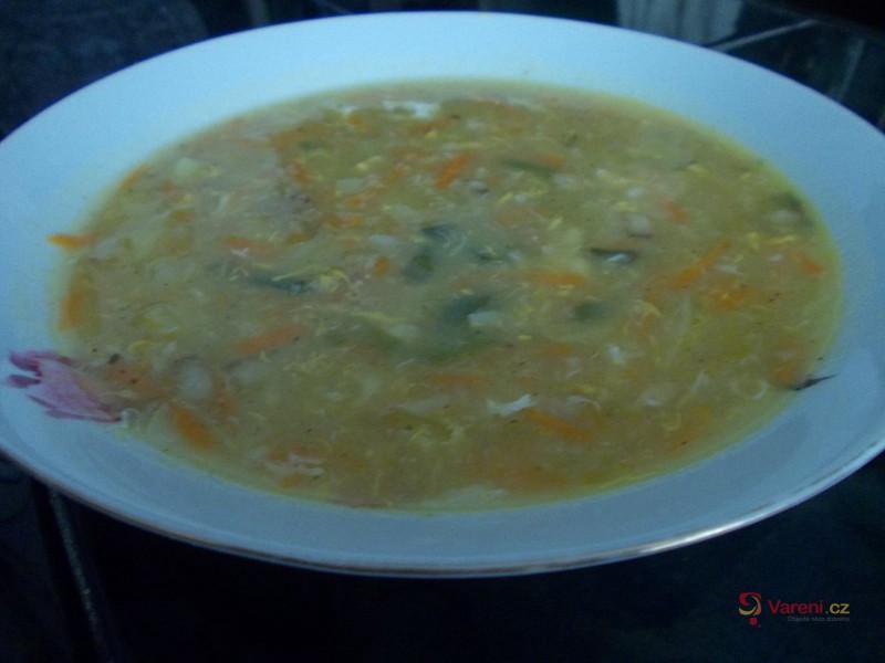 Zeleninová polévka s pórkem a bramborem - fotografie 2