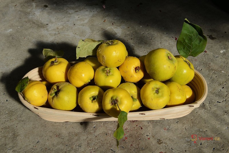 Marmeláda z kdoulí a pomerančové želé - fotografie 2