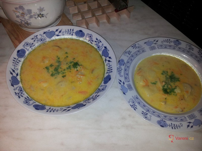 Hříbková polévka - fotografie 2