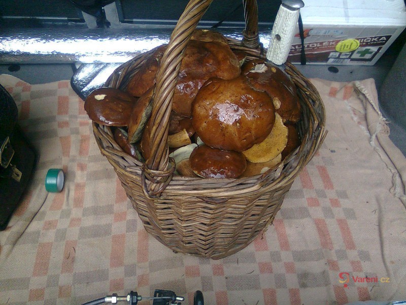 Pečené kuře s houbovou nádivkou - fotografie 2