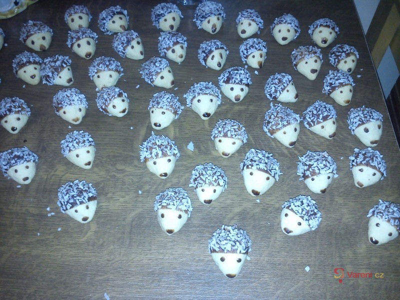 Vánoční ježci - fotografie 3