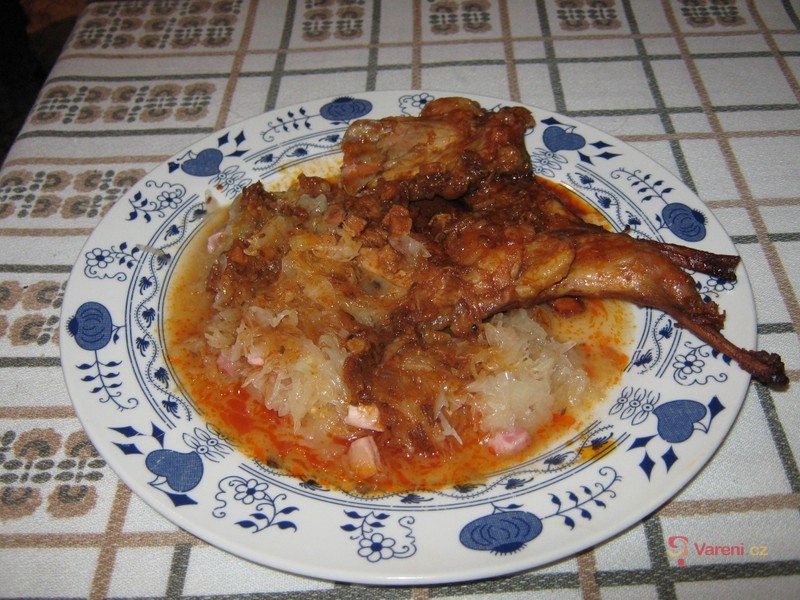 Valašský  domácí králík - fotografie 4