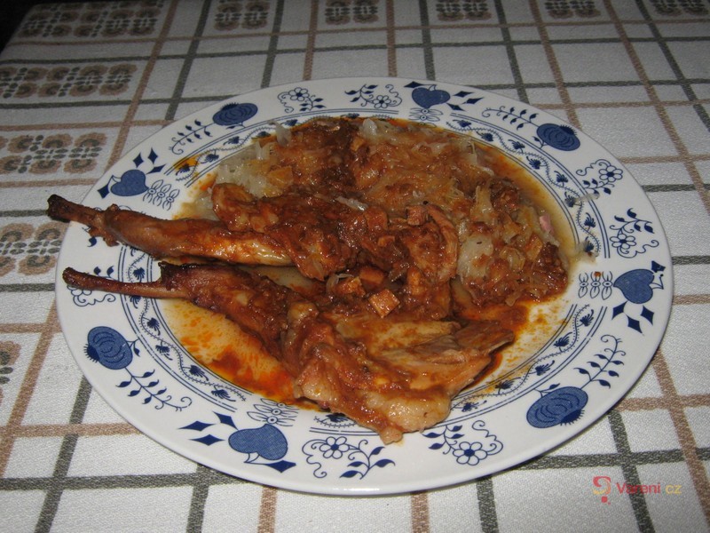 Valašský  domácí králík - fotografie 3