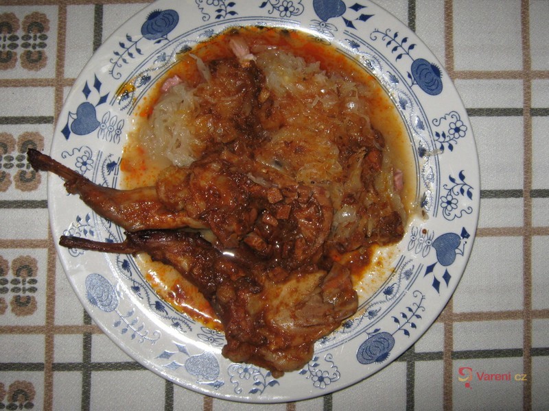 Valašský  domácí králík - fotografie 2