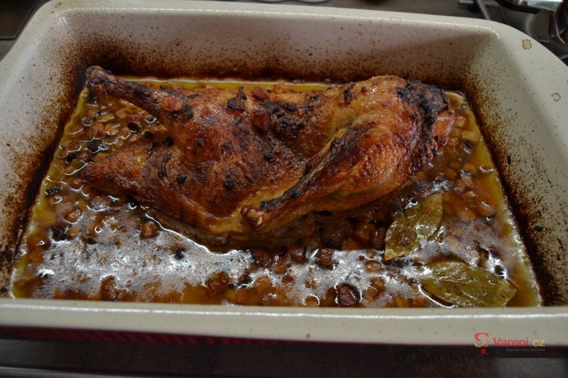 Kachna pčená na divoko - fotografie 2