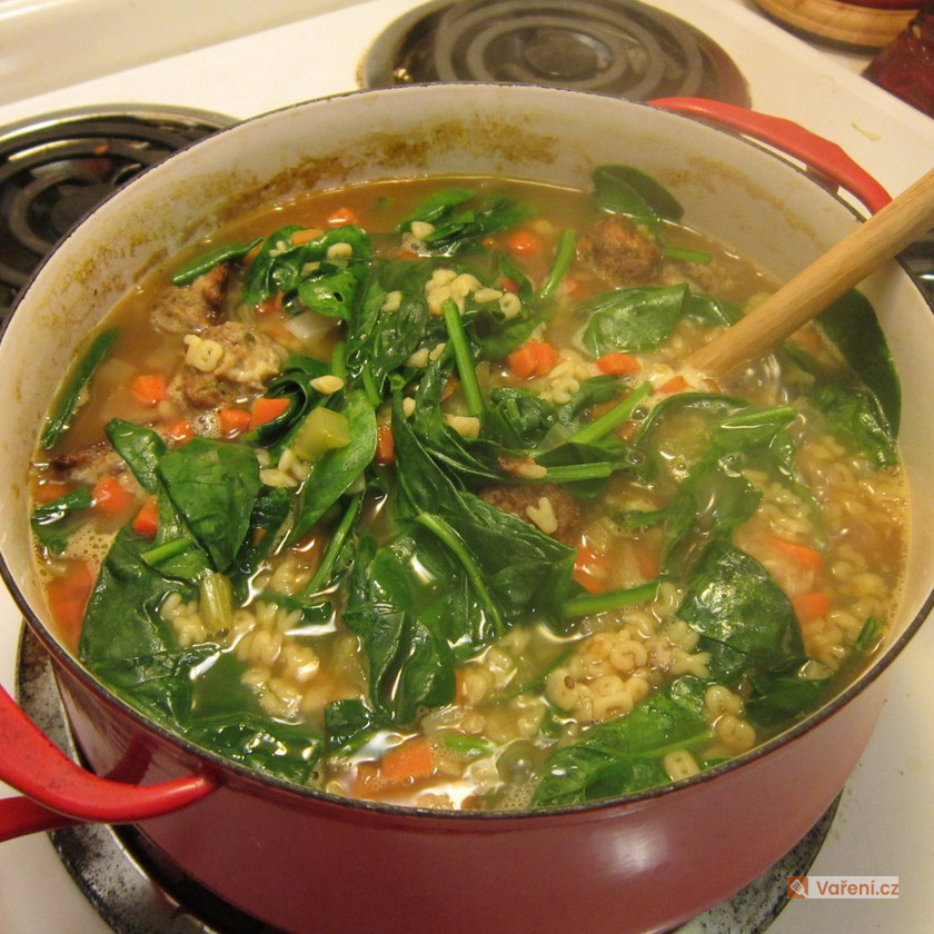 Zeleninová polévka se špenátem