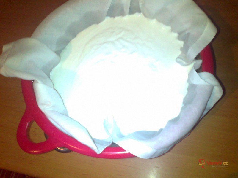 Lučina z jogurtu - fotografie 2