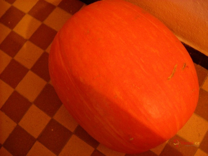 Zapékaná dýně z Krnova - fotografie 2