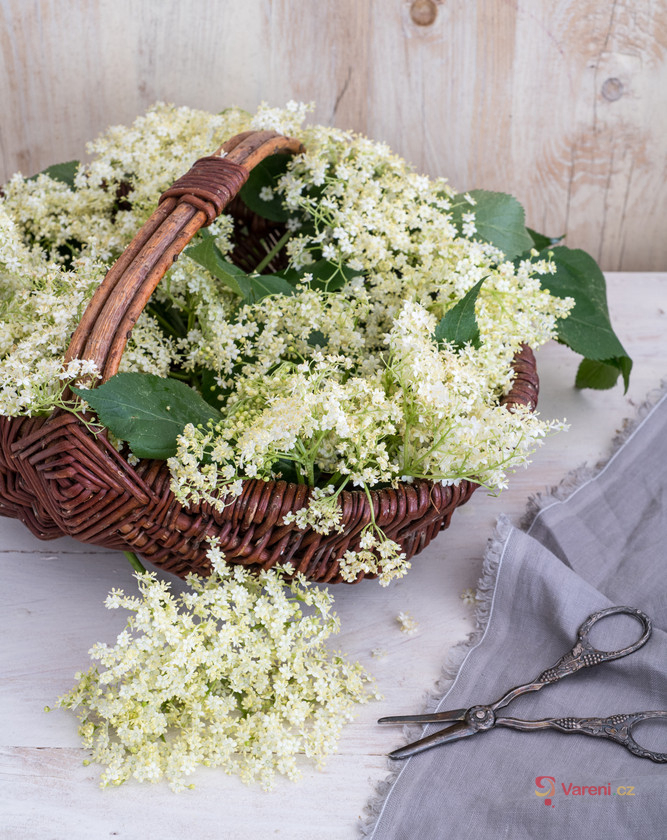 Bezová limonáda - fotografie 2