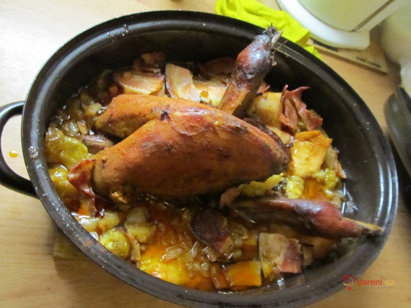 Chalupářský bažant - fotografie 2