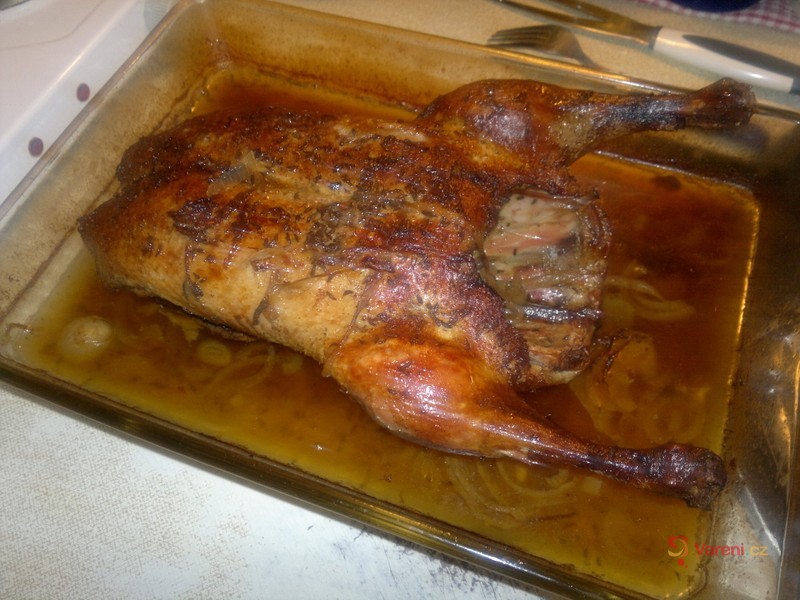 Pečená kachna - fotografie 2