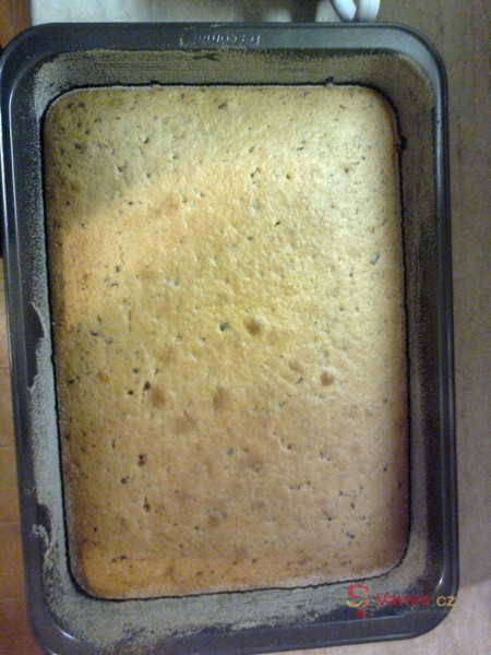 Výborná buchta s Margotkou - fotografie 2